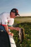 Flipping expert and Castrol pro Mike Surman of Boca Raton, Fla., digs another bass out of Okeechobee's thick hyacinths during the 2004 FLW Tour event on the Big O.