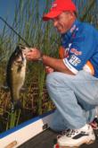 Kellogg's pro Clark Wendlandt reels in another keeper at the 2004 Lake Okeechobee FLW Tour event.