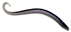 The lively 6-inch FLW Finesse Worm is extremely versatile. It may be used for everything from flipping to drop-shotting.