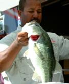 Pro Todd Woods of Murrieta, Calif., caught five bass weighing 14 pounds, 13 ounces and placed third Wednesday.