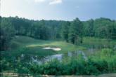 The Robert Trent Jones Golf Trail is an excellent place to visit while in Birmingham for the FLW Tour Championship.