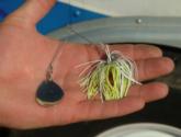 Pro David Junk displays his homemade spinnerbait that propelled him to victory.