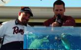 Pro Phil Strader of Glide, Ore., used a four-day catch of 35 pounds, 9 ounces to take third place on Lake Havasu.