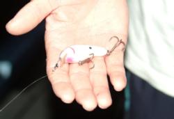 Pro Brad Knight shows off the crankbait he plans to throw on day two.