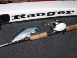 Big swimbaits will be one of the weapons pros will use to do battle with big delta bass.