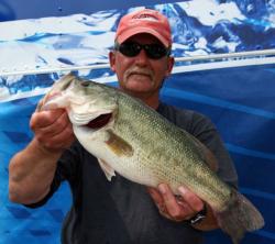 Tom Rizzo used a Texas-rigged Yum Wooly Bug to tempt the heaviest bass on the co-angler side, a 5-pound largemouth.