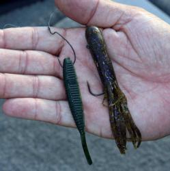 Slow presentations with dropshots and tubes will be productive for smallmouth bass.