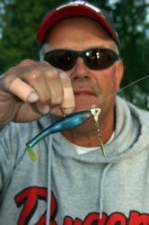 Pro Dan Welch favors a swimbait with a gold head and spinnerbait to mimic yellow perch and tempt smallmouth bass.