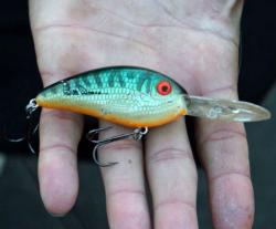 Sixth-place pro Mike Iaconelli will throw a deep diving crankbait that resembles the lake
