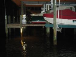 Pier lights act as homing beracons for bait - and more importantly, sport fish.