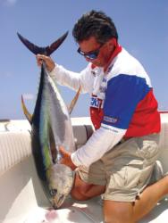 Alex Leva hauls in a healthy yellowfin tuna.