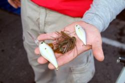 The baits Roy Hawk used to win the Stren Western opener on Clear Lake: two Lucky Craft crankbaits flanking a Pepper jig