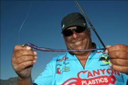Oregon angler Chris Ricci likes big worms on his Texas rig, but he won't hesitate to rig a 10-incher on his dropshot.