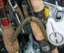 Weighted wacky rigged worms like this one delivered the co-angler lead for Johnathan Walker.