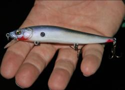 With most fish still in a lethargic state, jerkbaits enable anglers to keep a vulnerable target in front of the fish.