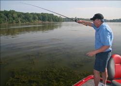 Flipping or pitching Texas-rigged soft plastics into Potomac grass is a great way to locate the fish.