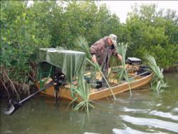 Before hunting, take time to conceal the duck boat from sharp-eyed waterfowl.