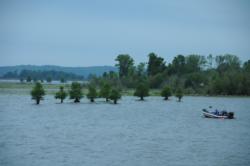 Water usually covers the trunks of these planted cypress trees in front of Lakepoint State Park in the spring, but the level is a foot or two low right now, which can make a big difference in Lake Eufaula.