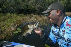 FLW Tour pro Ishama Monroe demonstrates why frogs are one of the top search baits for anglers fishing high water.