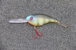 A perch colored Strike King crankbait was one of JJ Ducharme