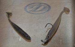 A closer look at the new Damiki Anchovy Shad.