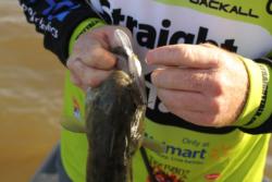 Finesse crankbaits work best when the water temperature hovers around 55 degrees.