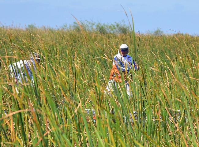 Greg Bohannan lifts a bass out of the thick reeds.