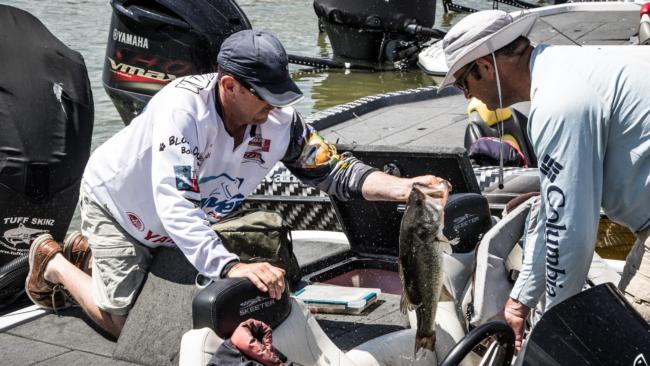 Ray Hanselman unloads his giant bag of fish into the official Strike King AOY leader weigh bag. 