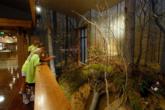 Children enjoy their time at the new Forrest L. Wood Crowley's Ridge Nature Center.