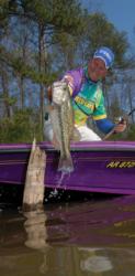 Poulan-Weed Eater pro Ray Scheide often casts to stumps and lay-downs with a weightless Senko. With a slow flutter, the bait offers a more natural fall.