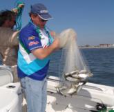 A successful netting operation hauls in a load of pogies - the prerequisite for success on the Wal-Mart FLW Kingfish Tour.