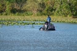 Vegetation will be a a key target for Stren anglers looking for bass cover on the Hudson River this week.