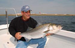 The fruits of striped bass fishing