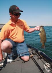 Creature baits work well for Lake St. Clair smallmouths.