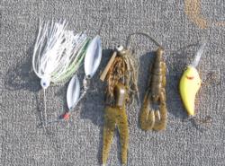 Brownlee's winning lures: a Mini-Me spinnerbait, 1/2-ounce Davis Lures Paca jig, Texas-rigged Zoom speed craw and a Little Earl crankbait.
