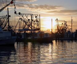 A bright sunrise beams over the Venice Marina shrimp fleet.