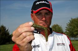 Day three leader David Kromm relied mostly on tubes and other soft plastics in green pumpkin.