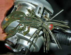 Working jigs in the grass will be a popular and productive tactic on the Potomac River.