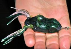 Often used as a search bait, the venerable plastic frog will lead many anglers to the hot areas on the Potomac River.