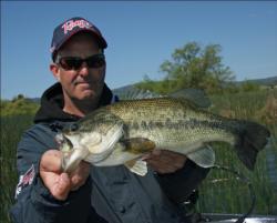 Santa Rosa angler Scott Green finds dependable action in tule stands at the north end of Clear Lake.