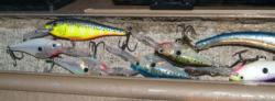 Ron Seelhoff has a love affair with crankbaits. Pictured are a few of his favorites.