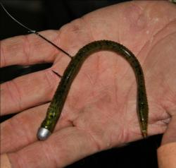 A wacky-rigged Zoom finesse worm will be the go-to bait today for Duke Jenkel.