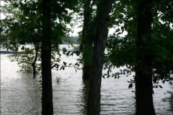 View from the trees on Day 1 of the AFS event on Kentucky Lake. 