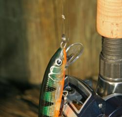 A good alternative to a snap, the loop knot also affords your jerkbait optimal mobility.