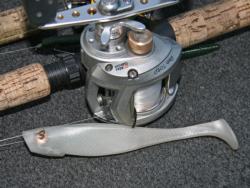 Swimbaits may trigger some of the big fish to bite, especially on high tide.