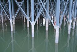 Stained pilings at Highpoint Marina tell the tale of low water on Lake Texoma.