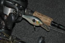 Crankbaits could play a key role in locating active fish.