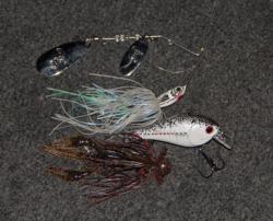 Robbie Dodson will use a variety of baits including a spinnerbait, jig and square bill crankbait.