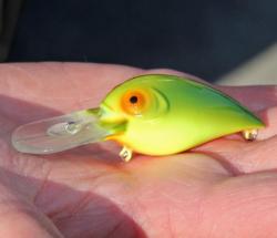 A new citrus color wiggle wart-style crankbait made by Luck 