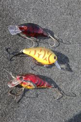 A trio of crankbaits accounted for most of Brian Carpenter
